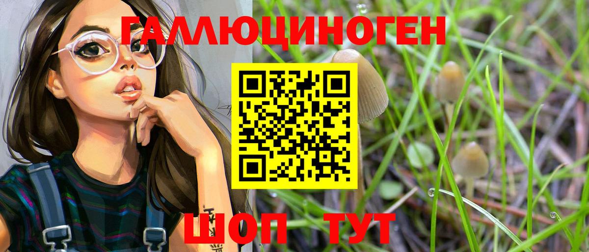 Псилоцибиновые грибы Magic Shrooms  Вход с VPN  Кашира 