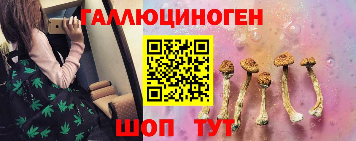 Псилоцибиновые грибы GOLDEN TEACHER Кашира